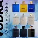 Perfume Vodka Wild 100ml Paris Elysees ORIGINAL Masculino - Fragrância Intensa e Elegante - Imagem 2