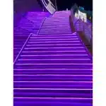 Escadas iluminadas em roxo à noite.