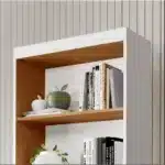 Estante com livros e objetos decorativos.