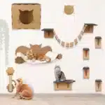 Gatos brincando em prateleiras e arranhadores criativos.