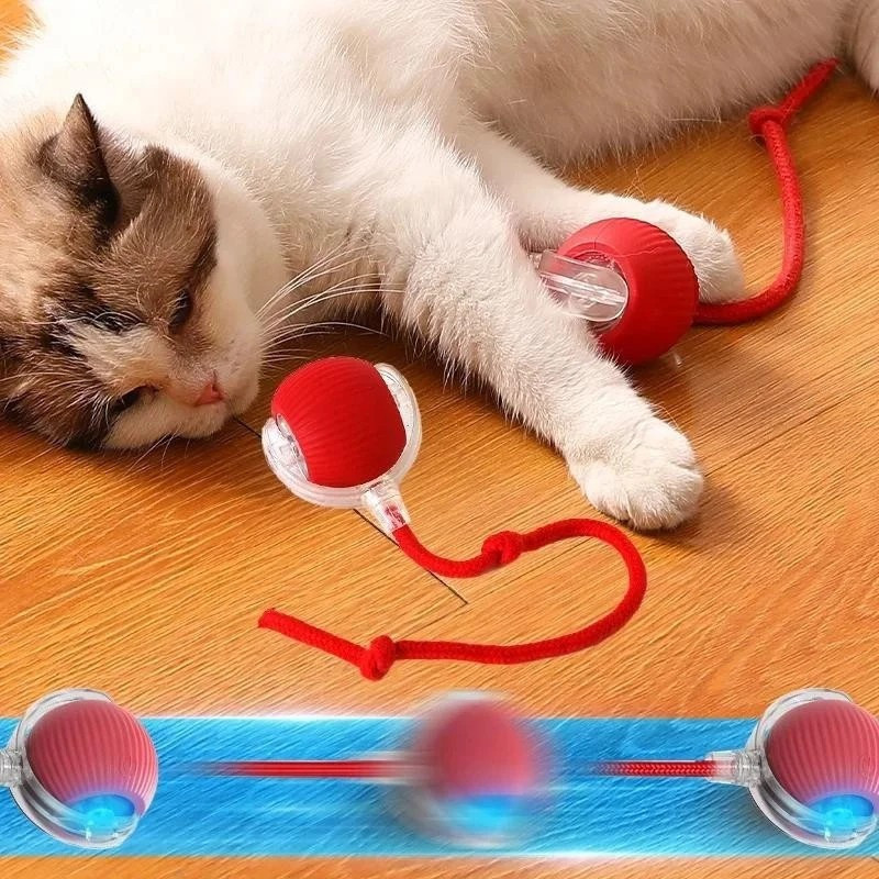brinquedo inteligente recarregável para gatos com bola automática e rabo falso elétrico em ação