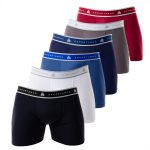 Cueca masculina kit 5 boxer microfibra confortável para adulto