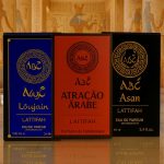 Perfume masculino kit 3 árabes amadeirado 100ml frascos para venda