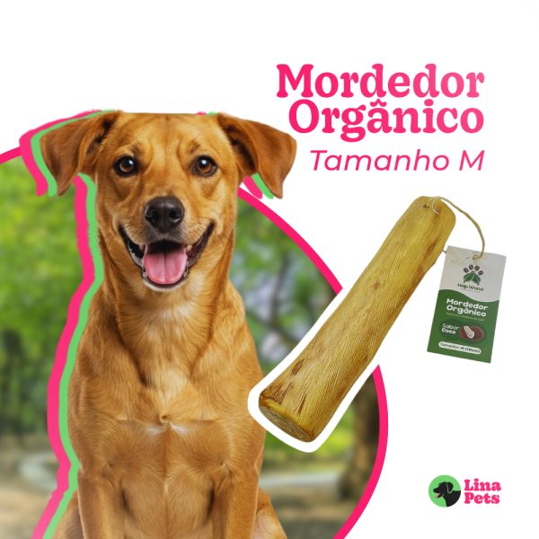Produtos pet: mordedor natural de madeira de café sabor coco para cachorro tamanho M