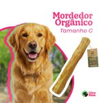 Produtos pet: mordedor natural de madeira de café sabor côco tamanho G 30x3,5cm