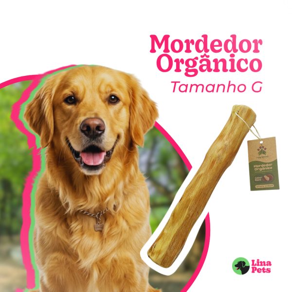 Produtos pet: mordedor natural de madeira de café sabor côco tamanho G 30x3,5cm