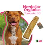 Produtos pet mordedor natural de madeira de café sabor coco tamanho GG para cachorro