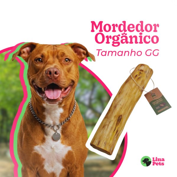 Produtos pet mordedor natural de madeira de café sabor coco tamanho GG para cachorro
