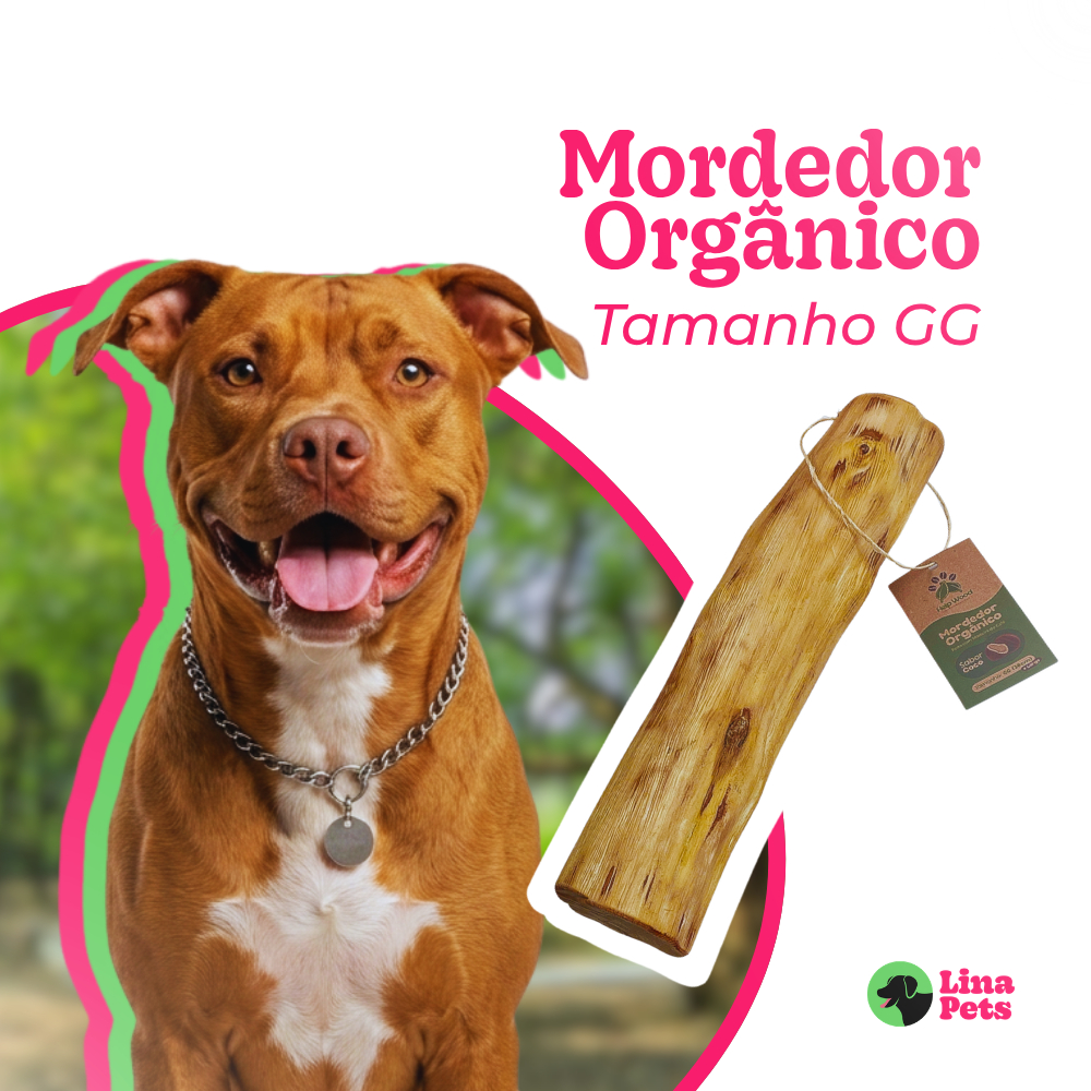 Produtos pet mordedor natural de madeira de café sabor coco tamanho GG para cachorro